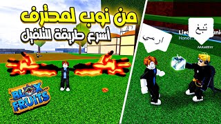 بلوكس فروت #1 🔥 أسرع طريقة للتلفيل ⚡ من نوب لمحترف Roblox Blox Fruits