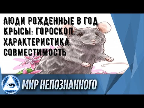 Люди рожденные в год Крысы: гороскоп, характеристика, совместимость