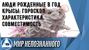 Люди рожденные в год Крысы: гороскоп, характеристика, совместимость
