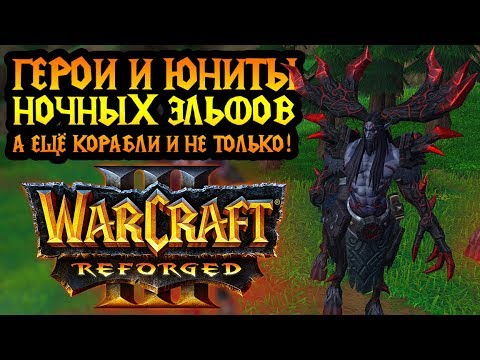 Видео: Как выглядят герои и юниты из кампании Ночных Эльфов в Warcraft 3 Reforged?