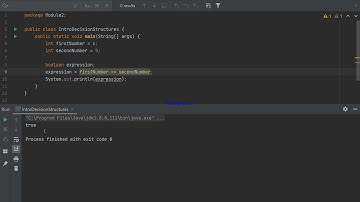 Java Introduction to Decision Structures