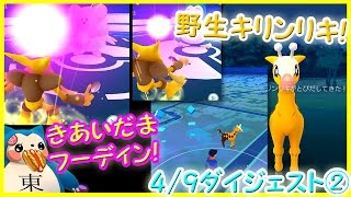 野生キリンリキ きあいだまフーディンvsハピ カビ 4月9日ダイジェスト後編 Youtube
