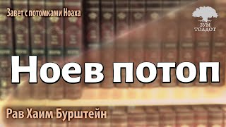 видео: Ноев потоп. Р. Хаим Бурштейн. картинка: Ноев потоп. Р. Хаим Бурштейн.