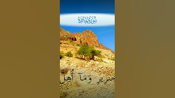 قرآن كريم بصوت جميل جدا  سورة المائدة, الآية 3: حرم عليكم الميته والدم ولحم الخنزير