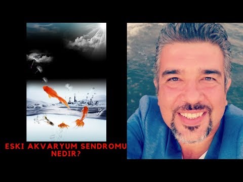 Video: Bir Akvaryumun Azot Döngüsü Nasıl Korunur?