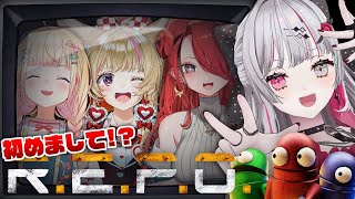 石神のぞみの配信のサムネイル画像