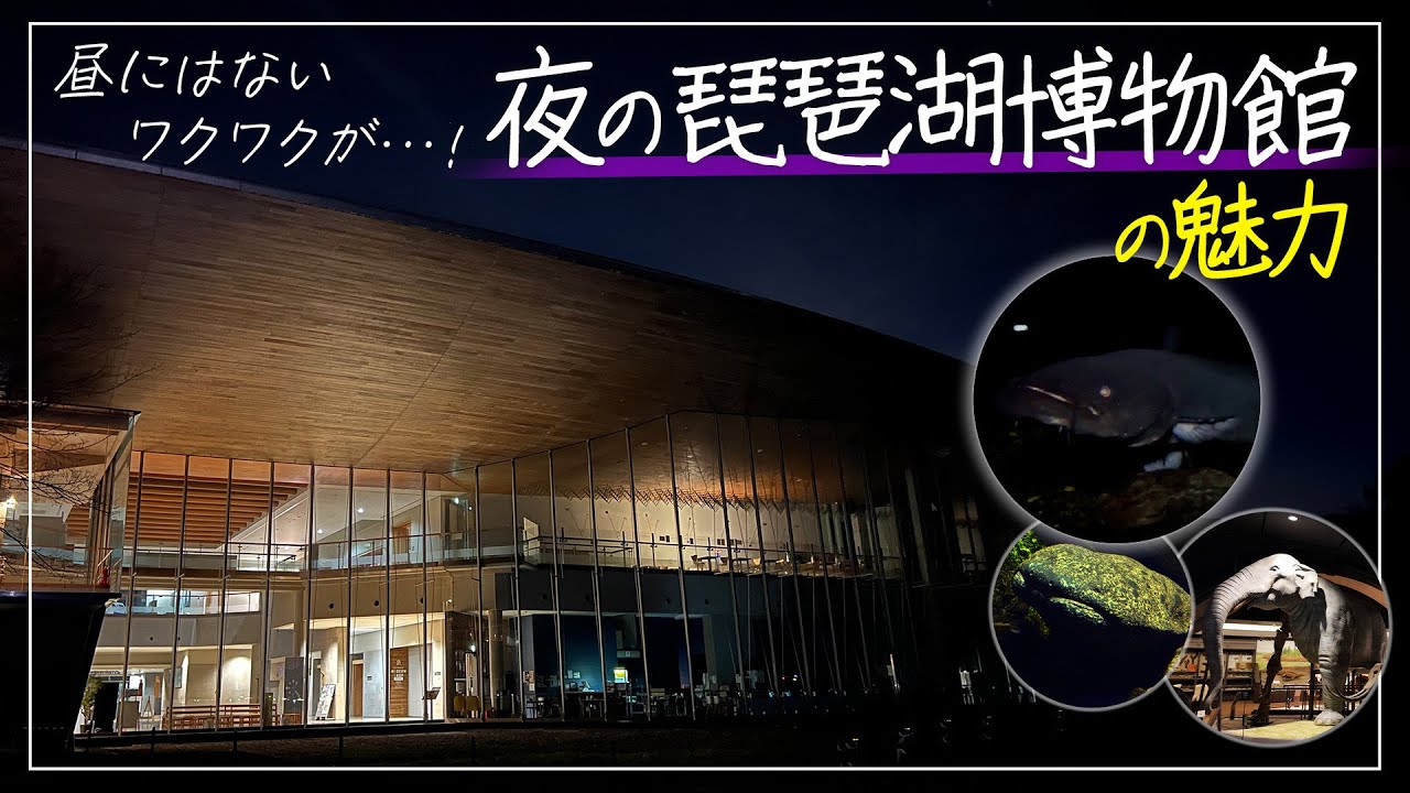 昼には味わえない特別な体験!琵琶湖博物館のナイトミュージアムを覗いてみよう！