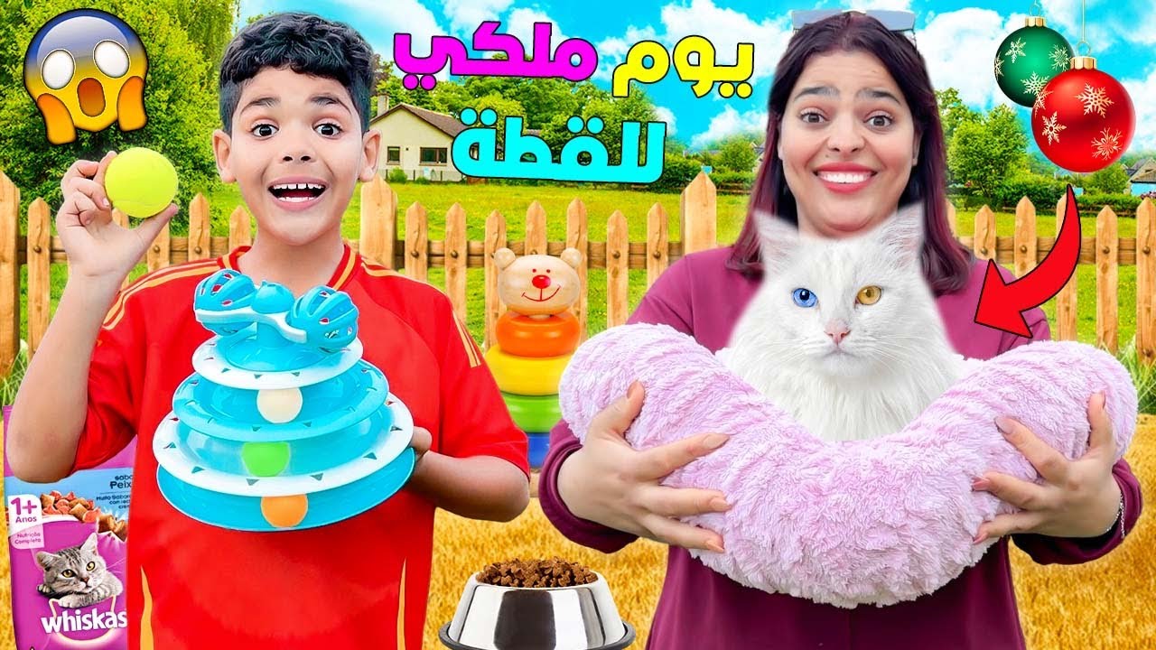 اخيرا… القطة