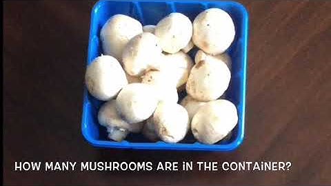 Guess How Many? Math Estimation Activity