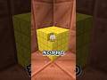 え❓目の錯覚…❓#minecraft #マイクラ #マインクラフト