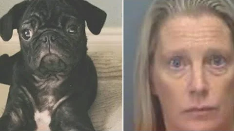 Shelley Vaughn ARRESTED for Throwing Pug Dog off B...