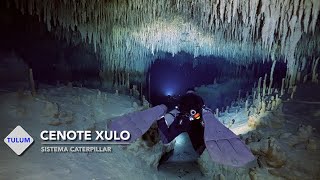 CENOTE XULO DIVE (TULUM, MEXICO)
