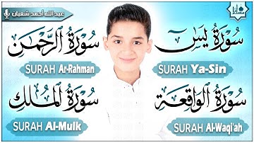 سورة يس، الرحمن، الواقعة، الملك تلاوة رائعة 💙 من أجمل تلاوات القارئ عبدالله شعبان جودة عالية 🎧