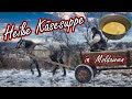 Moldawien hautnah: Winter im Dorf, Grenzübergang Sculeni & die EU-Grenze | Käsesuppe