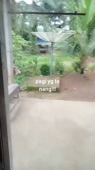 meningmati sejuknya udara pagi