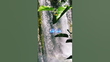 سورة الأحزاب