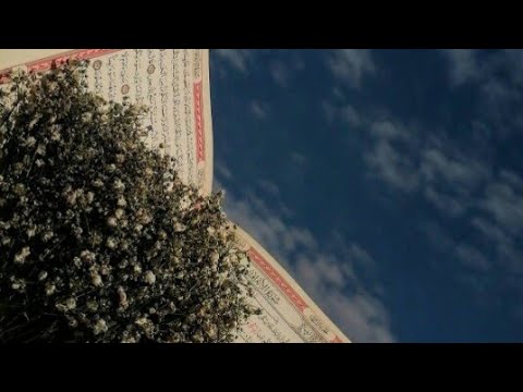 و ق ال ار ك ب وا ف يه ا ب س م الل ه م ج ر اه ا و م ر س اه ا إ ن ر ب ي ل غ ف ور ر ح يم