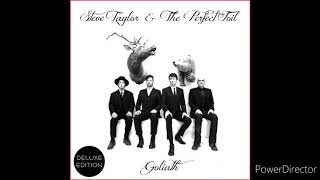 Steve Taylor and the Perfect Foil - Hero