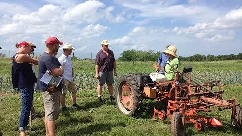 Reducing Hand Mulching with Cover Crops and No-Til...