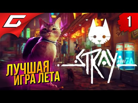 САМАЯ МИЛАЯ ИГРА ПРО КОТИКА ➤ STRAY ◉ Прохождение #1