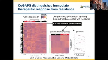 LS/B4W:Enter the matrix:modeling tumor cell & immune cell interactions at the single cell resolution