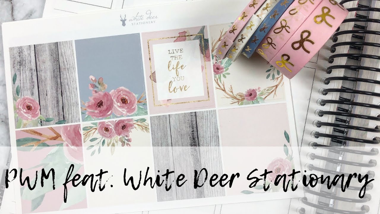 Plan with Me feat. White Deer Stationary