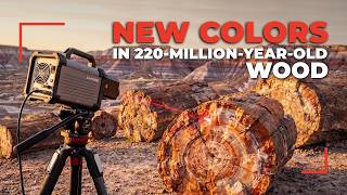 Laser Probed Arizona's Petrified Wood — What It Revealed REWROTE the Story