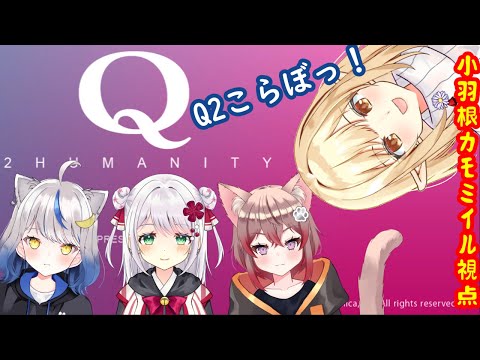 【Q2】第6回ファミリーメンバーで頭脳化筋肉で謎を解く！【小羽根カモミイル視点】