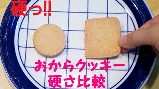 硬っ！クッキー？！おからクッキー硬さ比較　カフェプリムラ　訳アリ豆乳おからクッキー