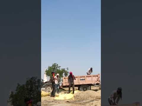 luk nile saat ki 🚜🐎