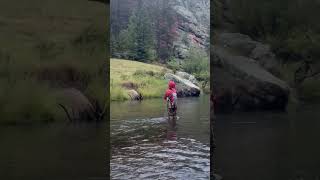 Fly fishing at the Eleven Mile Canyon in Colorado