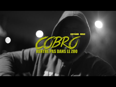 COBRO - Rentre Pas Dans Le Zoo | Clip by Five Collectif