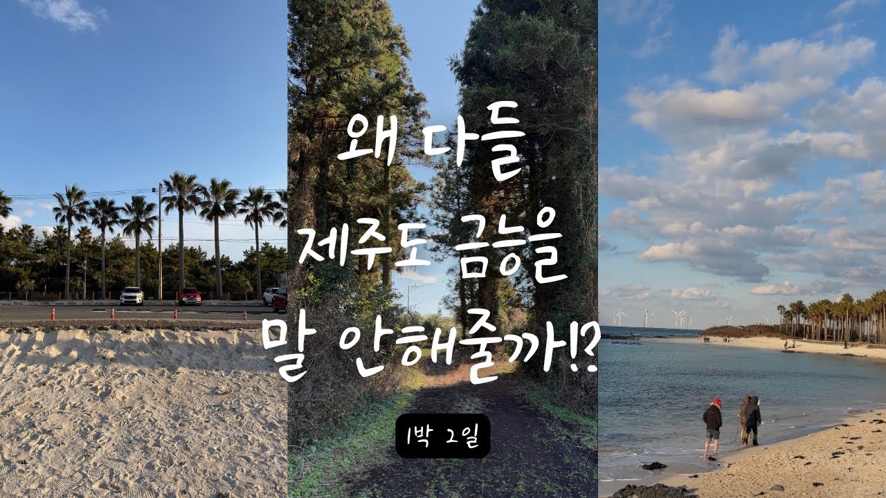 1박2일 느낌있게 다녀온 제주도 금능!