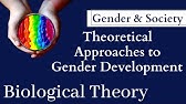 cognitive theory of gender role development