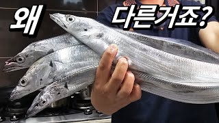 Challenge yourself to catch South Korea’s most popular fish! Fantastic taste of cutlassfish