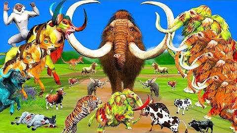 5 Giant Mammoth Elephant Cow Vs GiantWild Boar Vs 5 Giant Lion Tiger Wolf Cub Saved y Woolly Mammoth