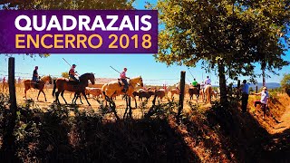 Quadrazais Encerro de Toiros 2018