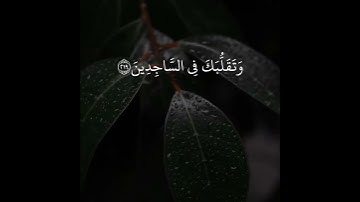 تلاوة خاشعة تريح القلب والاعصاب بصوت القارئ وديع اليمني | وَتَوَكَّلْ عَلَى الْعَزِيزِ الرَّحِيمِ