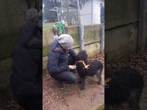 Video IAIA MAMMA CORAGGIO ORA DEVE ANDARE A CASA!