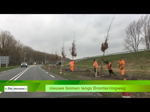 VIDEO | Provincie Flevoland is begonnen met planten van 348 eiken langs de Dronterringweg