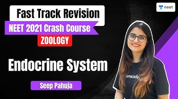 Endocrine System | Fast Track Revision | NEET Biology | Seep Pahuja