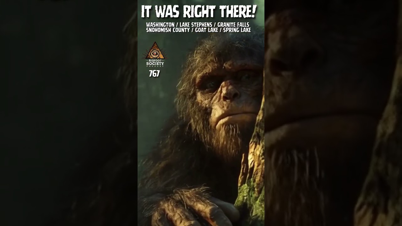 Bigfoot Encounter, Washington