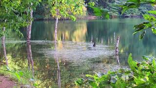 Lake Grubb Nature Park Hike