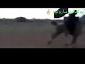 يادير لالاولالا ولدك تر خياله✌ ||حالات واتس اب لدير الزور ❤️😍😘