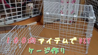 １００均のﾜｲﾔｰﾈｯﾄでdiyﾌｪﾚｯﾄのｹｰｼﾞ作り直した Youtube