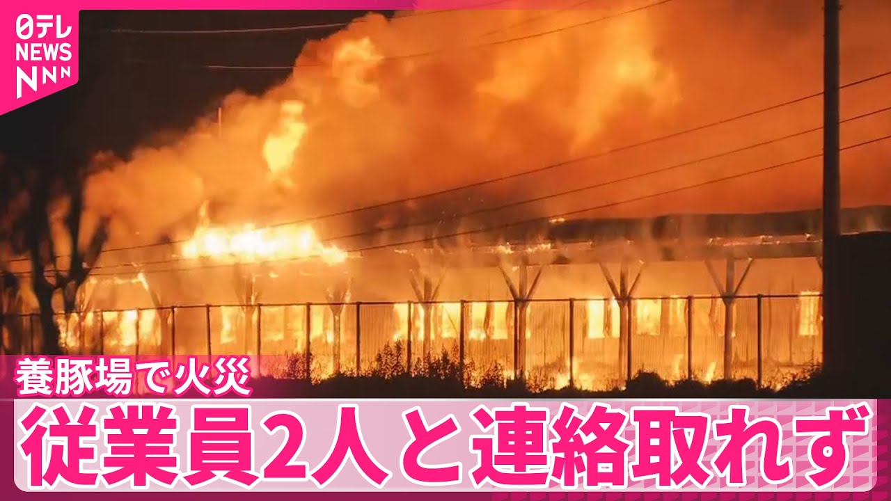 養豚 場 火災