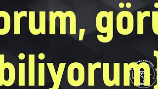 Bariş Manço Dönence Enstrümantal