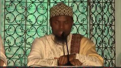 اواخر سورة الصافات || عكاشة كاميني okasha kameny