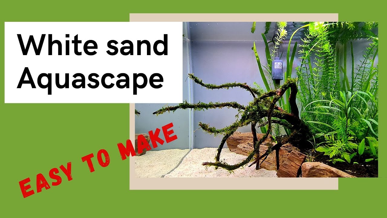 How to make a White sand aquarium setup YouTube