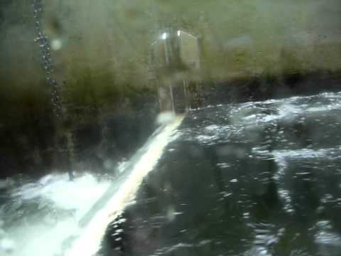 Capilano Salmon Hatchery in 20100905